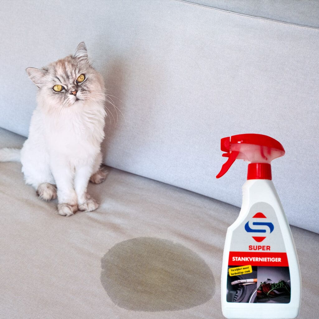 cleaning cat pee